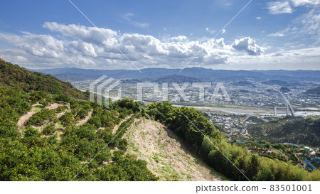 查看從邁肯山 查看從邁肯山 83501001