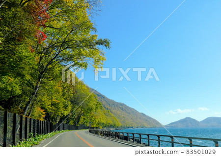 Beautiful autumn leaves on the road leading to Lake Shikotsu 83501029