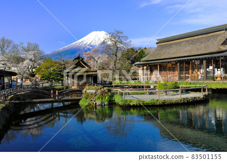 日本忍野八海和山梨縣春天忍野村富士山的原始風景 日本忍野八海和山梨縣春天忍野村富士山的原始風景 83501155