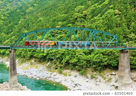 德島縣大步峽的特別列車 83501403