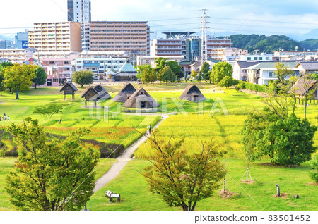 湖遺體 83501452