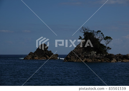 Maru fly and Gonza Hana on the Tomonoura coast, Shishikui-cho, Kaifu-gun, Tokushima Maru fly and Gonza Hana on the Tomonoura coast, Shishikui-cho, Kaifu-gun, Tokushima 83501539