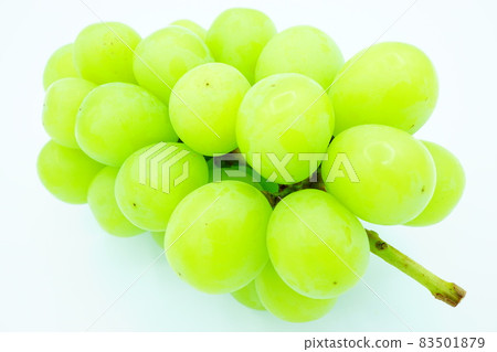 Shine Muscat Shine Muscat 83501879
