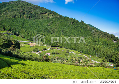 Machu Picchu in Gifu Tea plantation in the sky Machu Picchu in Gifu Tea plantation in the sky 83502504