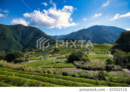 天空中岐阜茶園的馬丘比丘 83502518
