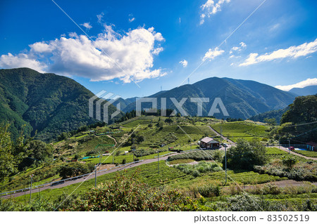 天空中岐阜茶園的馬丘比丘 83502519