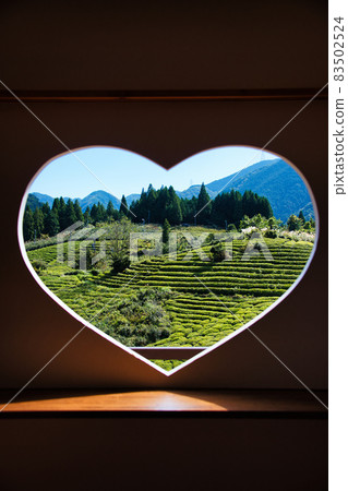 天空中岐阜茶園的馬丘比丘 天空中岐阜茶園的馬丘比丘 83502524