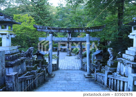 Torii in green 83502976
