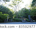 陽光和樹木 83502977