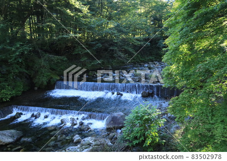 River in the forest 83502978