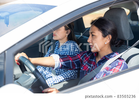 Portrait of female latino american driver and her friend Portrait of female latino american driver and her friend 83503236