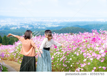 一群女人在宇宙花田裡觀光旅遊 83503783