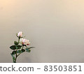 粉紅玫瑰背景圖片 83503851