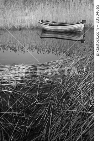Lake and boat in Denmark in Autumn 83504665