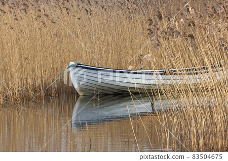 Lake and boat in Denmark in Autumn 83504675