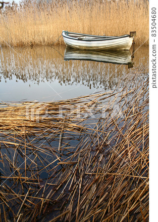 Lake and boat in Denmark in Autumn Lake and boat in Denmark in Autumn 83504680