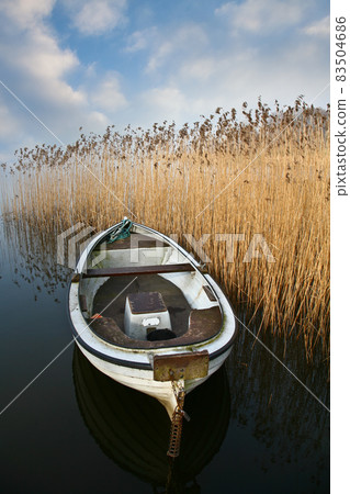 Lake and boat in Denmark in Autumn Lake and boat in Denmark in Autumn 83504686