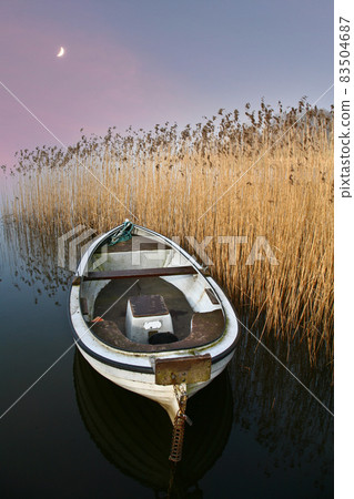 Lake and boat in Denmark in Autumn 83504687