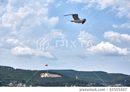 Dur Yolcu monument in Gallipoli, Canakkale,Turkey 83505897