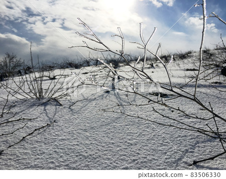 Frozen branch in a sunny winter day 83506330