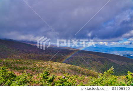 Adachi Adachi在秋天 83506590