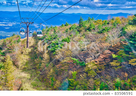 Adachi Adachi在秋天 83506591