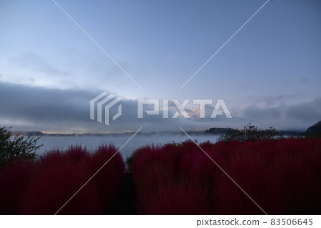 黎明，等一下<大石公園> 83506645