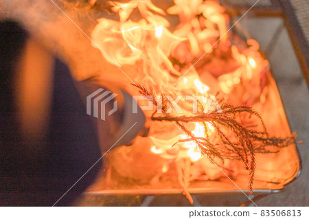 Bonfire flame and firewood 83506813