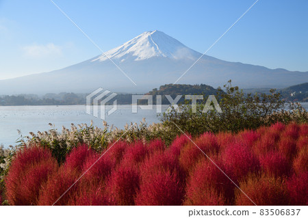 喜悅的早晨 <大石公園> 83506837