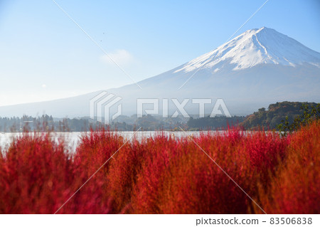 喜悅的早晨 <大石公園> 83506838