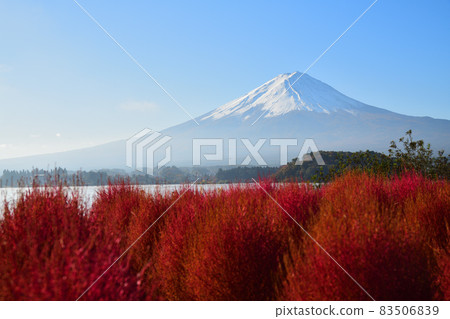 喜悅的早晨 <大石公園> 83506839