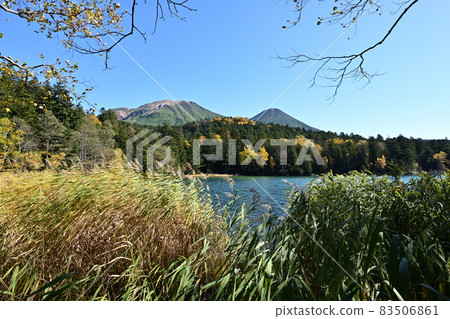 Autumn Onnetoto 83506861