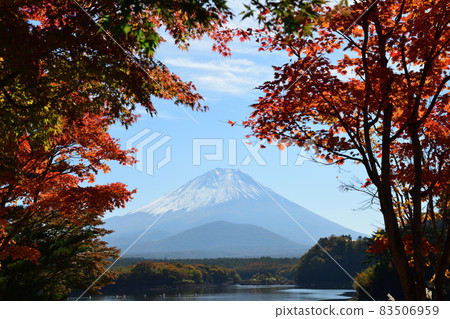 Autumn has arrived <Lake Shoji> 83506959