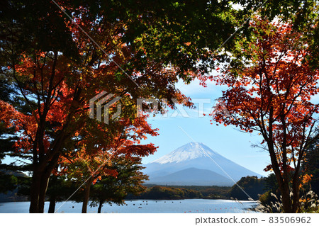 Autumn has arrived <Lake Shoji> 83506962