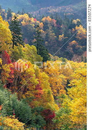 Autumn scenery in Hokkaido: Autumn leaves of the Tokachidake mountain range 83507274
