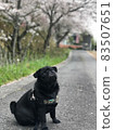 狗狗 83507651
