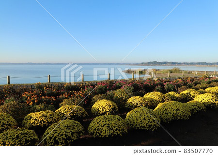 Lake Kasumigaura Smiley Beach, Namegata City 83507770
