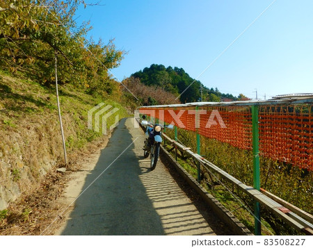 Katsuragi Town Kushigaki no Sato 83508227