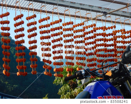 Katsuragi Town Kushigaki no Sato 83508241