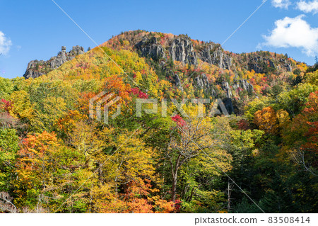 Autumn scenery in Hokkaido: Autumn leaves in Sounkyo 83508414