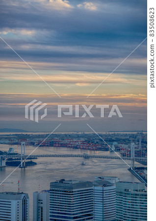 Tokyo cityscape as seen from Shiodome, Minato-ku, Tokyo 83508623