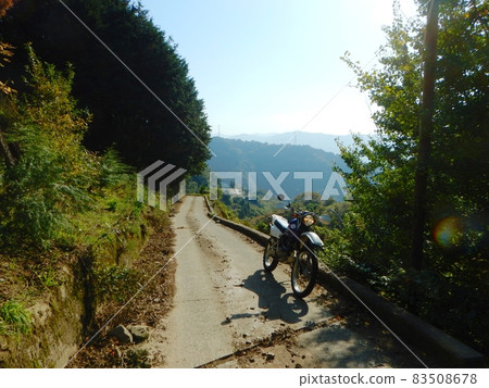 At Katsuragi Town and a forest road Mikan Road 83508678