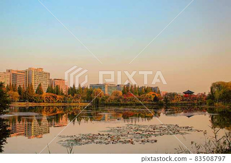 夕陽下的一山湖公園景色 83508797