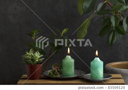 Ficus and green candles Ficus and green candles 83509120