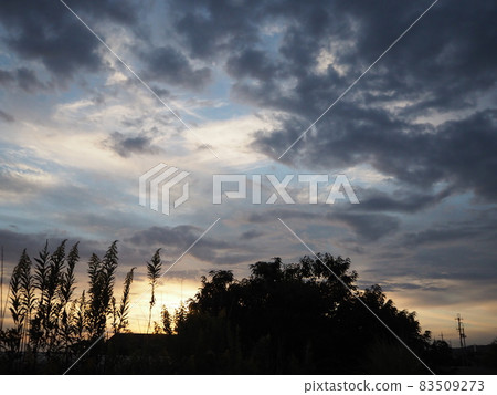 和歌山晚景 和歌山晚景 83509273