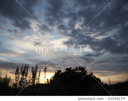 和歌山晚景 83509274