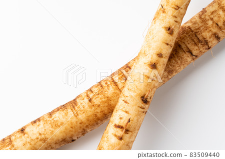 Burdock root Burdock root 83509440