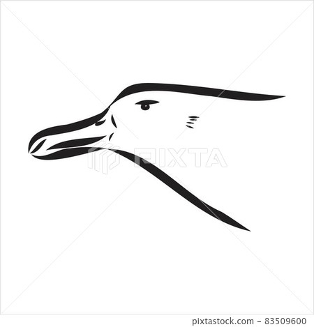 Seagull Albatross bird in flight with open wings sketch vector graphics black and white drawing 83509600