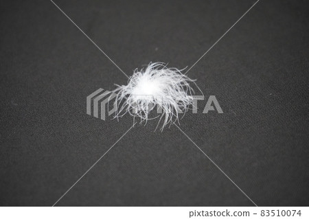 Image material of down down ball of waterfowl 83510074