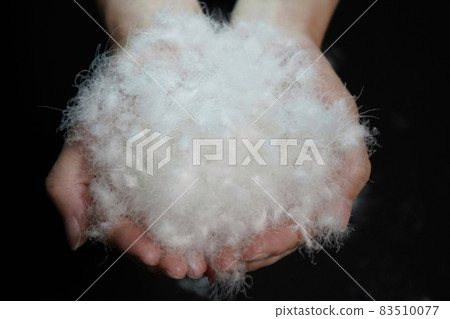 Image material of fluffy feathers of waterfowl 83510077